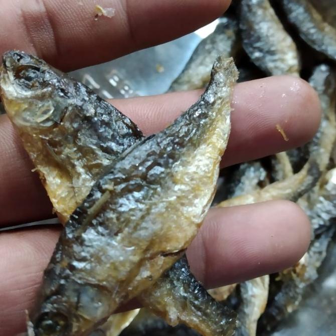 

Promo ikan danau bilih besar (1kg)