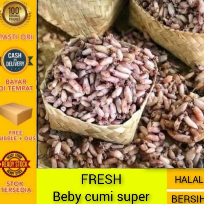 

Promo Cumi beby asin fresh - 1kg KHR
