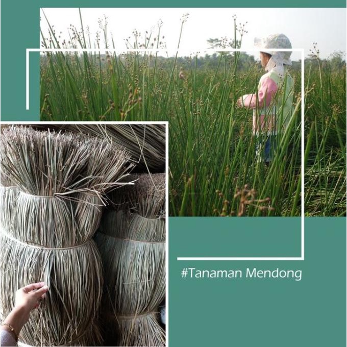 Tikar Lipat Piknik Ramayana - Tikar Lipat Mendong ukuran Jumbo 2x3 m