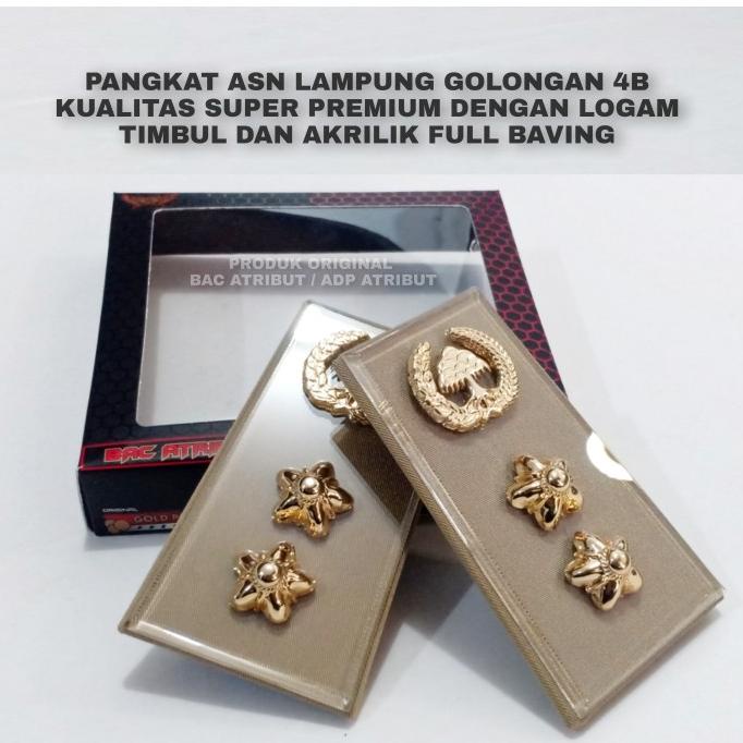 Pangkat ASN LAMPUNG Golongan 4b Full akrilik premium