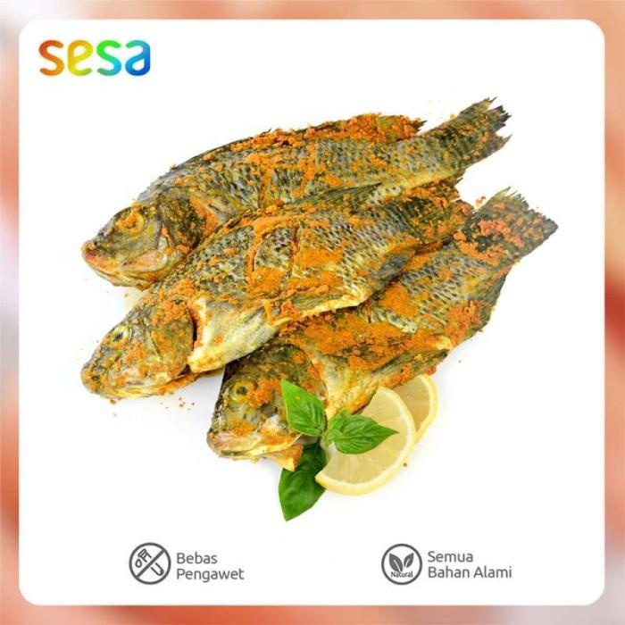 

Ikan Mujair Bumbu Kuning 400 -500 g Kualitas Terbaik