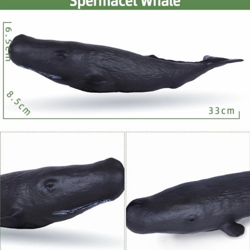 MAINAN IKAN KARET HIU PAUS SPREM WHALE SEAWORLD KOLEKSI HIU ANAK H-r1400