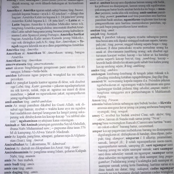 Promo Buku Kamus Basa Bahasa Sunda Danadibrata Murahh..Bangett.. Terlaris