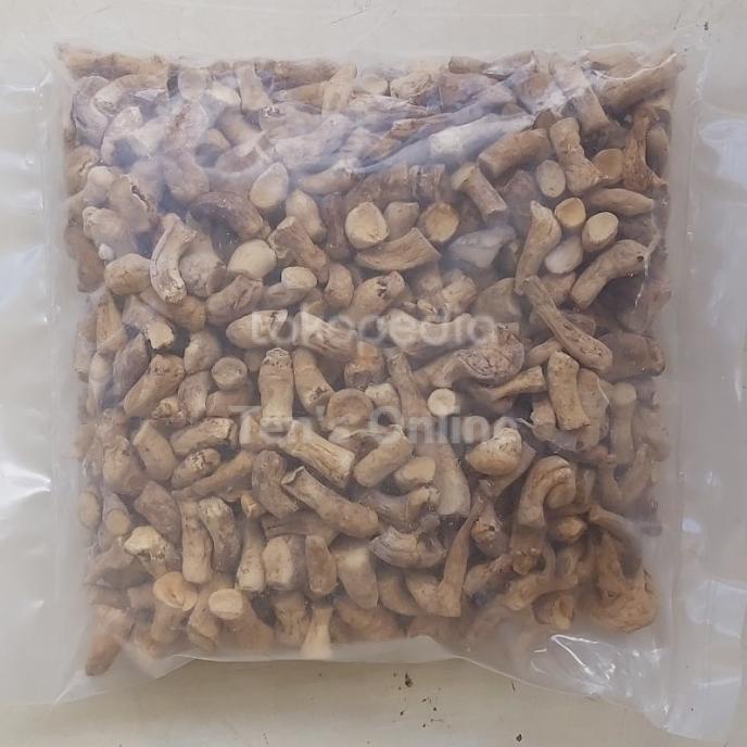 

Kaki Jamur Medium M LHS rra01