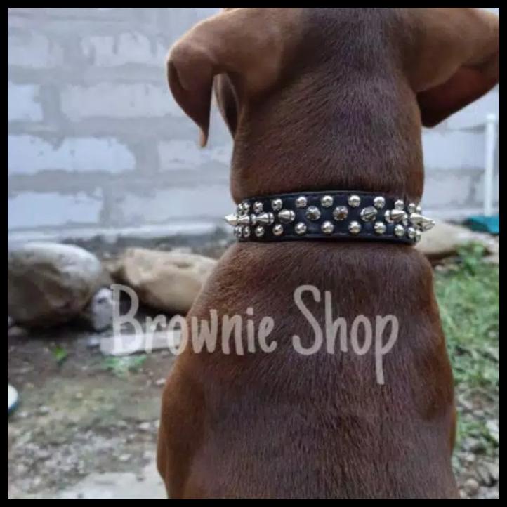 Kalung Anjing Bahan Kulit Halus Model Duri Kuat Terlihat Fashion.
