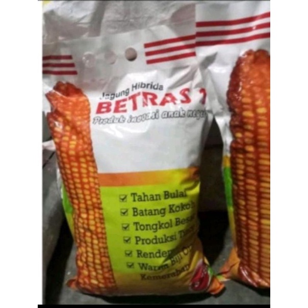 Benih Jagung hibrida Betras 5kg