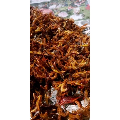 

BELALANG UTES KEMASAN 250 GRAM Murah