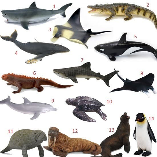 BAYAR DITEMPAT Mainan Binatang Laut Miniatur Ikan Hiu Paus Anjing Singa Laut Penguin /FIGURE