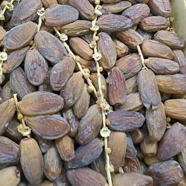 

Discount✅Kurma Tunisia tangkai promo 1kg