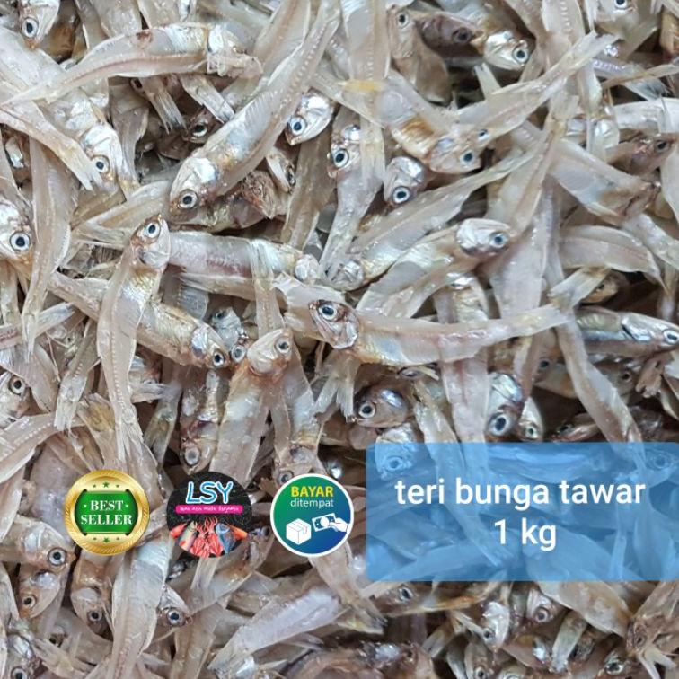 

12.12 Promo Brand teri tawar bunga super 1 kg buruan