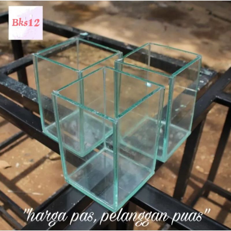 Soliter kaca 10x10x15 Akuarium mini tempat ikan cupang / Aquarium mini / soliter cupang