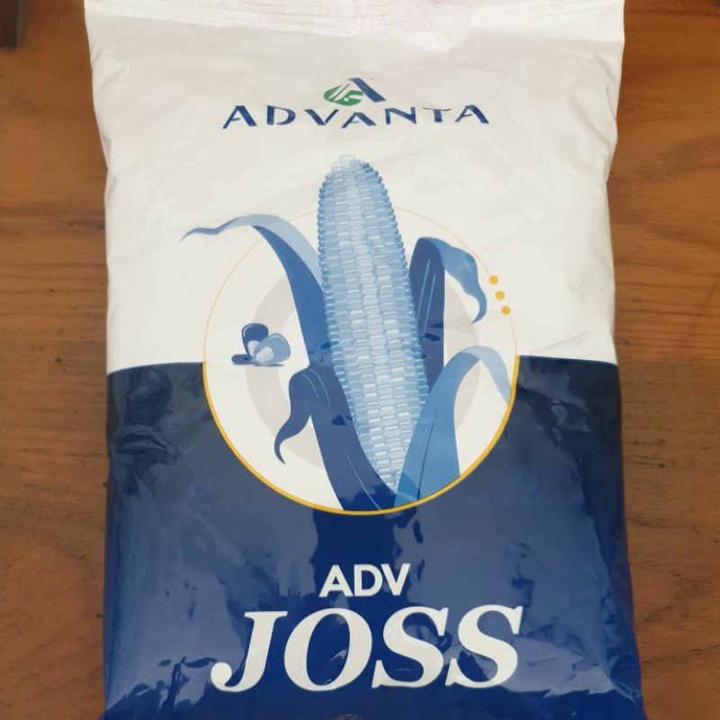 BENIH JAGUNG ADVANTA ADV 313 JOSS