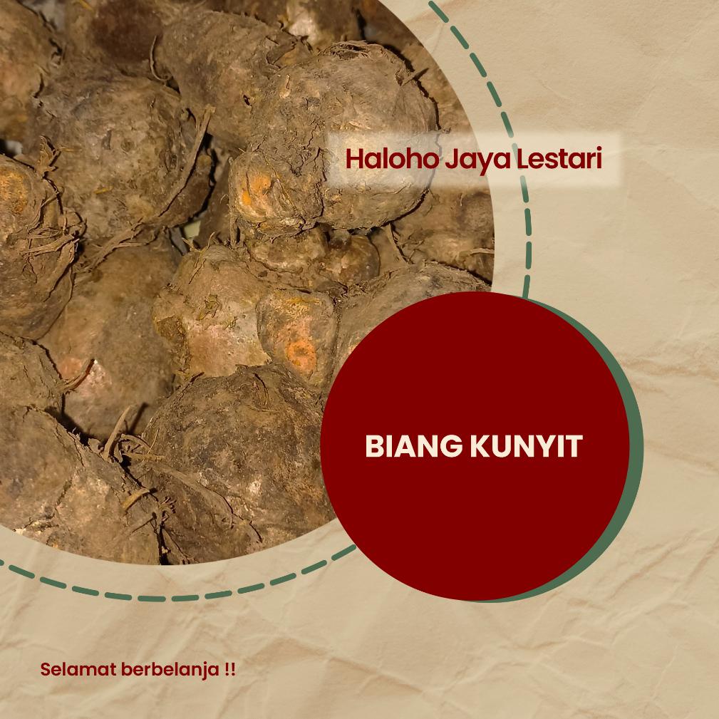 

[KODE 1920] BIANG KUNYIT SEGAR 1KG