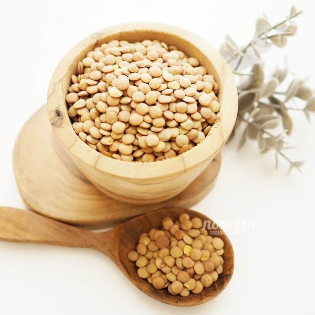 

Brown Lentils 1KG-JktBar