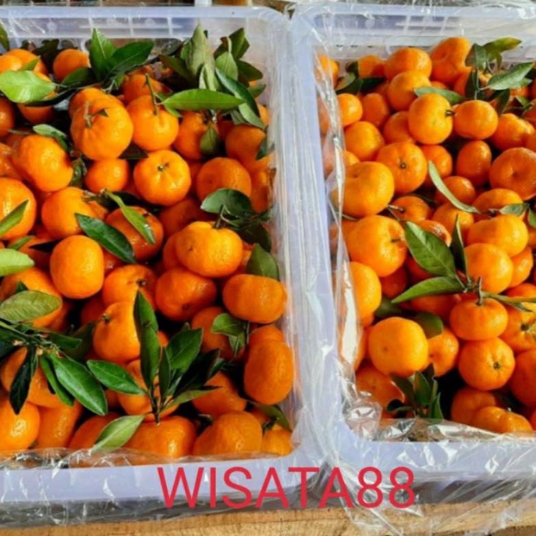

[COD] buah jeruk santang daun manis segar murah suplier buah import 500gr 0k6rp