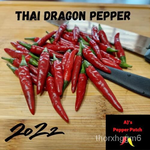 

เดมัBenih 2022,20ุ์Naga Non-transgenikพ“,็ธ”Bibit Kebun Organikน”Merica ลThailand“ DTOR