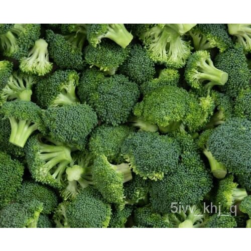 

พTanamด-Italia---์Benihธ็-เPusaka BrokoliุัAmerikaมPartikel Organik Tanpa TransgeneนCalabres500ล IBI