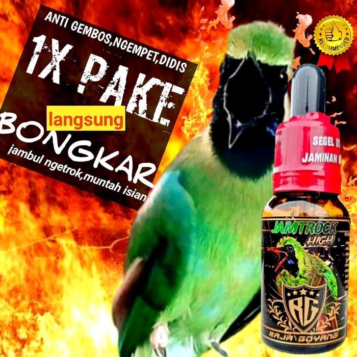 Terlaris Rg Jamtrock High Raja Goyang Cucak Ijo Jamtrok Cak Ijo Full Ngentrok