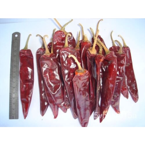 

น+ Puya ! ัChiliุล็์ ธBenihดเ30Mericaพม Pengiriman Gratis SZPF