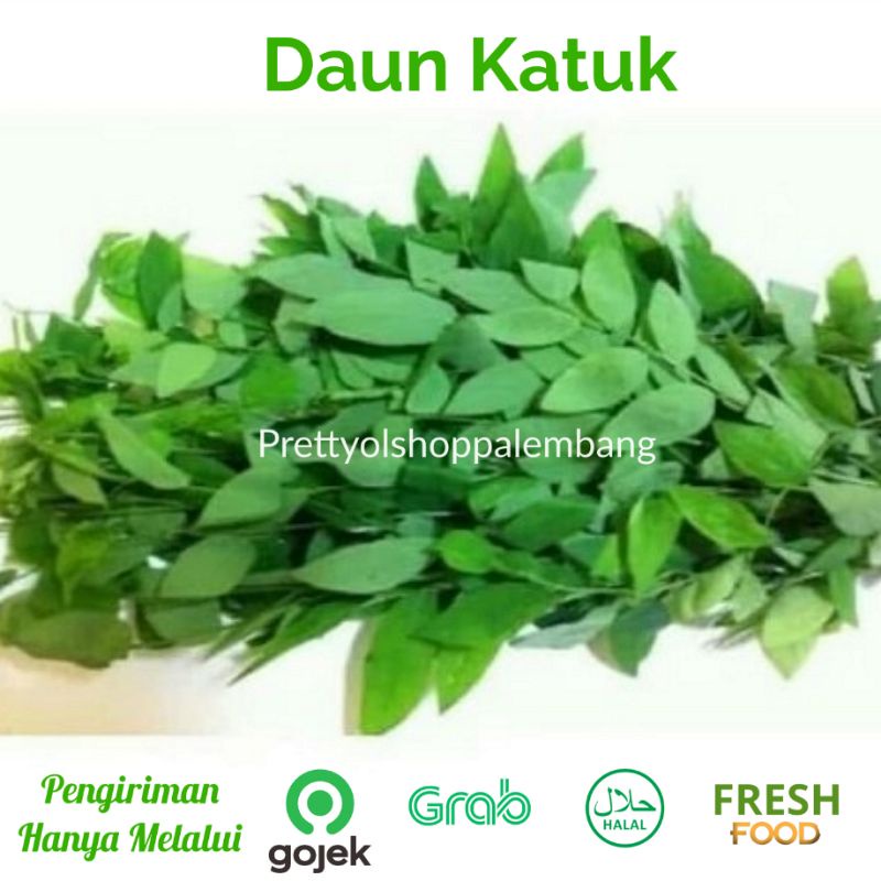 

[PALEMBANG] DAUN KATU KATUK 1 IKAT - SAYUR BUAH IKAN SEGAR ONLINE PRETTY OLSHOP PALEMBANG