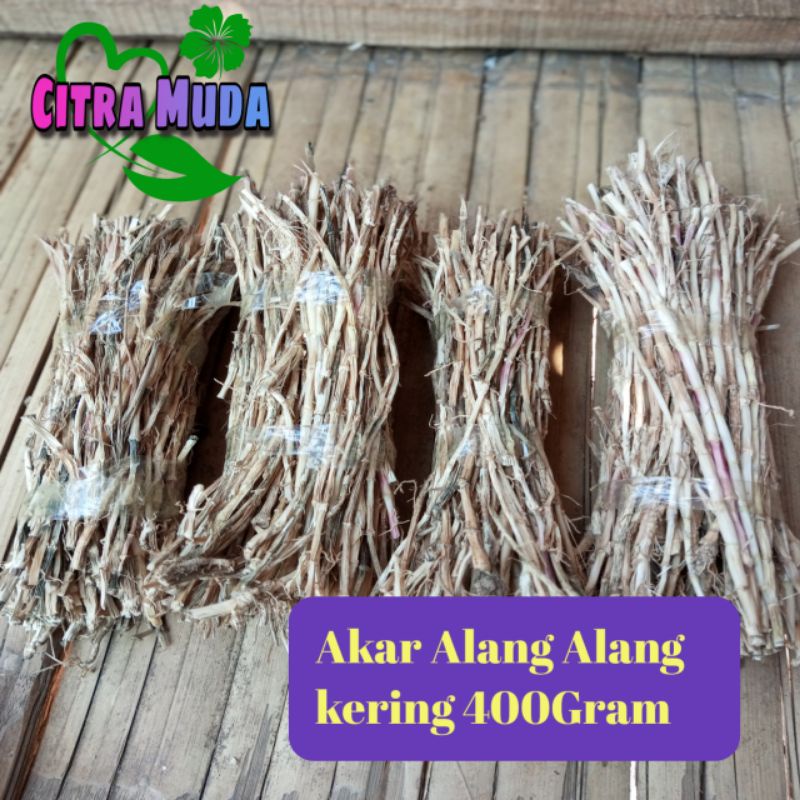 

Akar Herbal Alang Alang Super kering /400gram