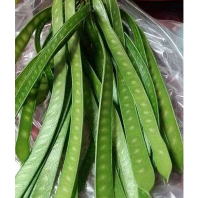 

petei cina muda 250gram