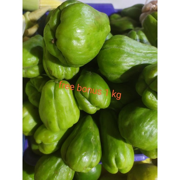 

labu siam lalapan 500gr + gratis bonus
