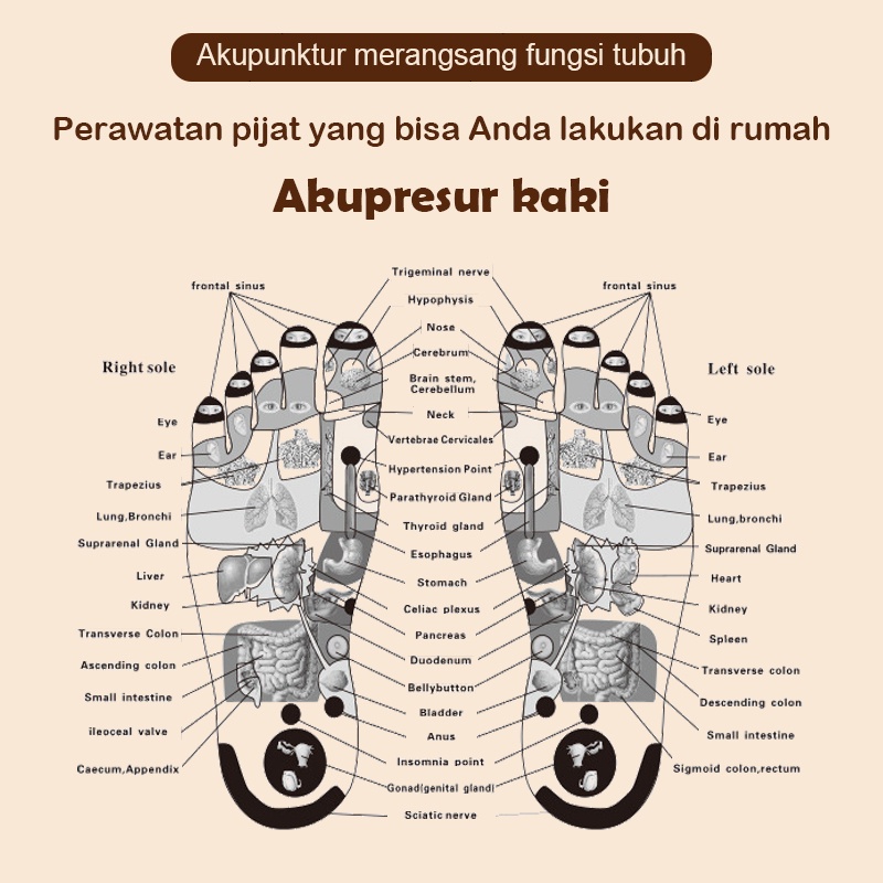 Alat terapi kaki Pijat listrik Akupuntur Electromagnetic Foot Massager/Alat Terapi badan dan Kaki Strum/Alat Terapi Stroke