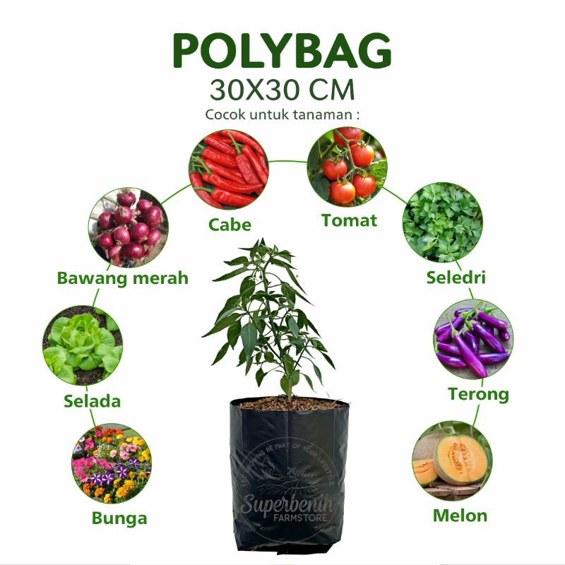 1 Lembar - Polybag 30x30 cm - Bahan plastik tebal, tahan lama