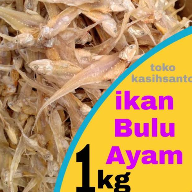 

Ikan asin bulu ayam super-1kg Best Seller