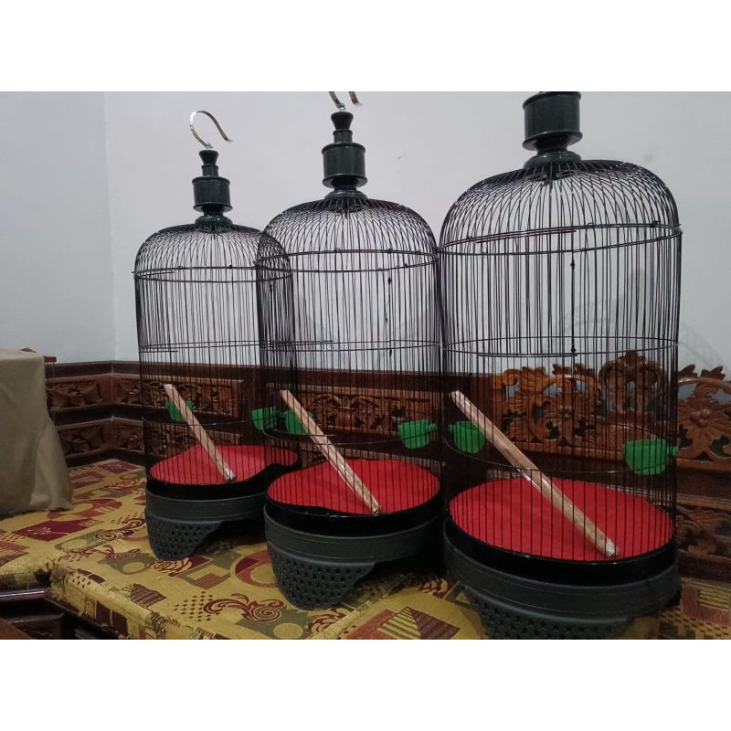 Sangkar Burung Love Bird