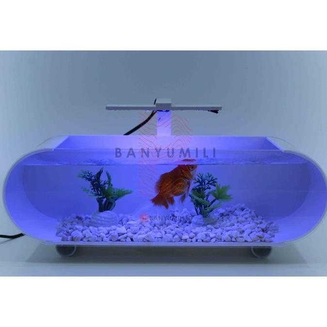 Aquarium Akrilik Mini Murah Full Set Lampu Led
