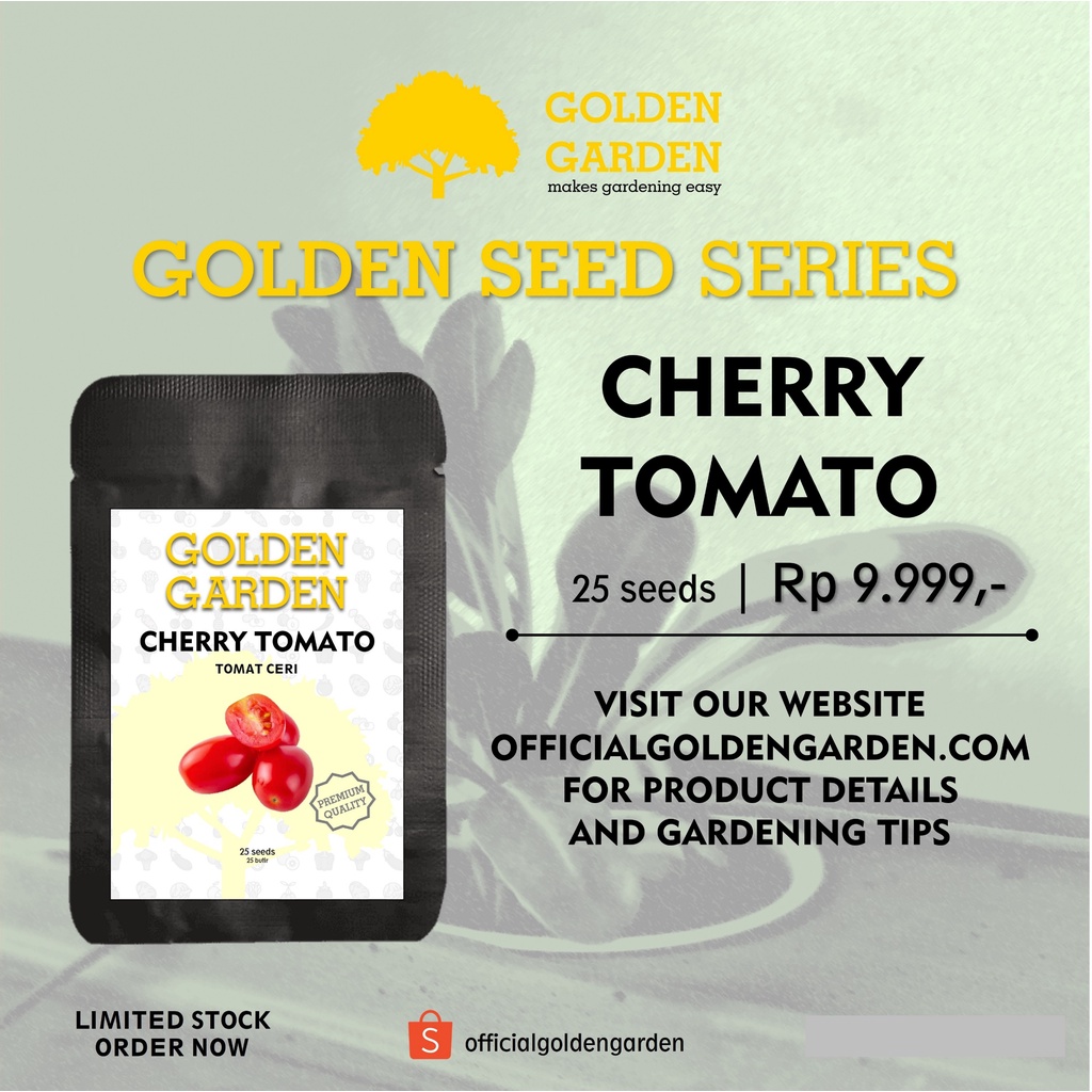 GOLDEN GARDEN Benih TOMAT CERI | isi 25 butir