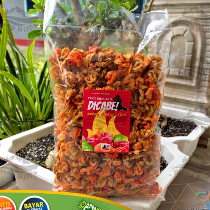 

Diskon | HJ6 | KERIPIK CABAI DIENG KRIBEE