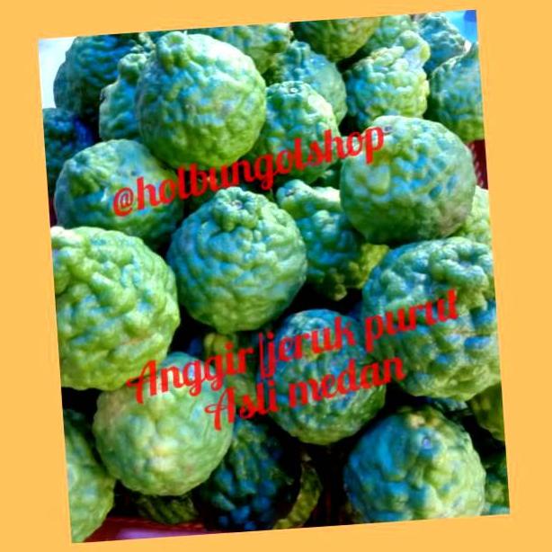 

Jeruk purut/ anggir asli medan (3 buah) Best Seller