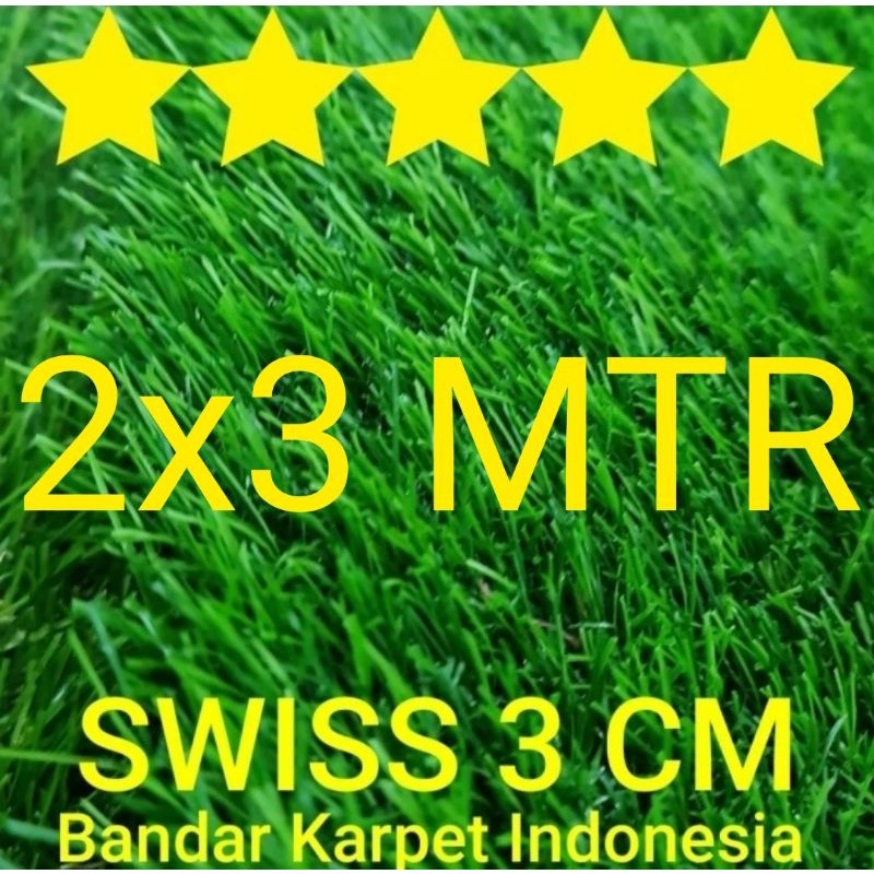 Rumput Sintetis Swiss TEBAL 3 CM uk 2x3 M 99.9% TERLIHAT ASLI