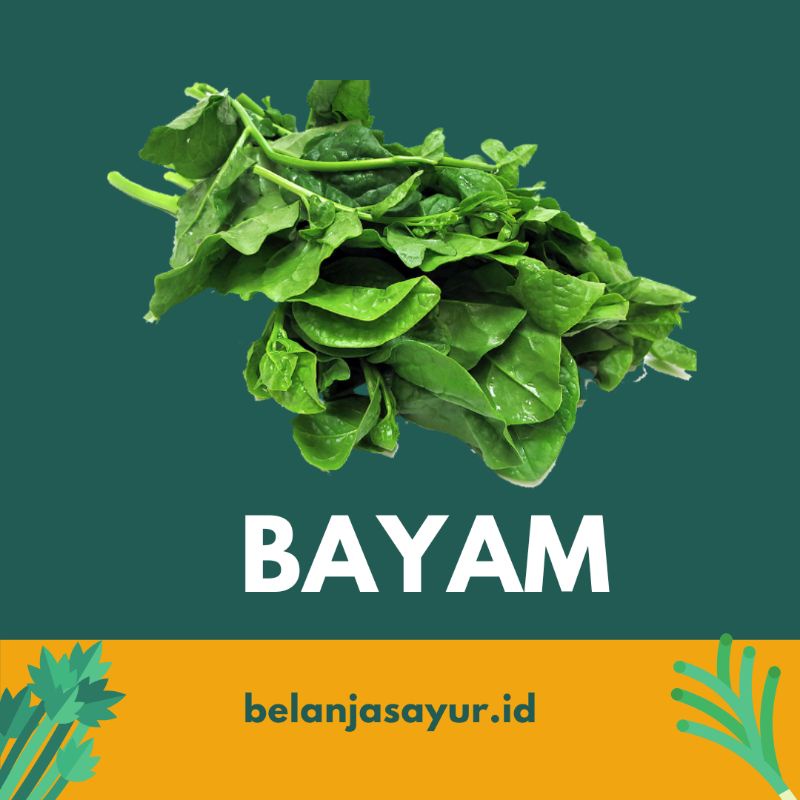 

BAYAM SAYUR SEGAR