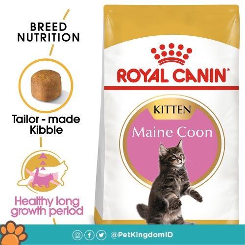 Royal Canin British Shorthair Kitten Dry Makanan Anak Kucing 400 Gr