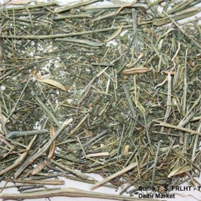 

monggo] 250 G GR GRAM CHUAN XIN LIAN TEH DAUN SAMBILOTO KERING