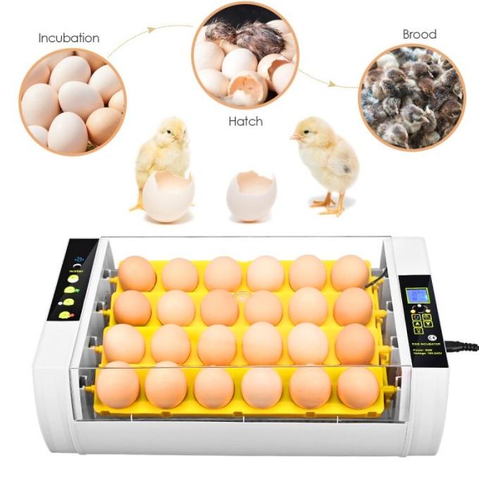Inkubator Mesin Penetas Telur Otomatis Burung Ayam Merak Punyuh Unggas