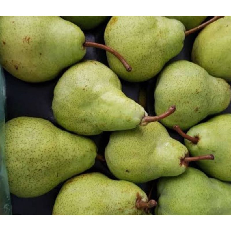 

Pir Packham Australia Dus