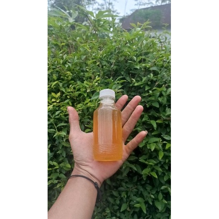

Madu murni bunga randu 140ml