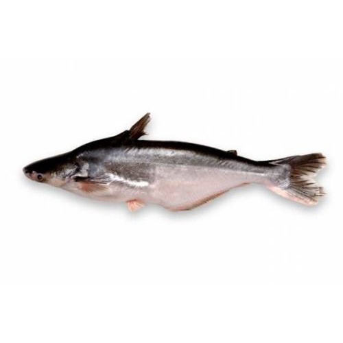 

Ikan Patin / 500 gram