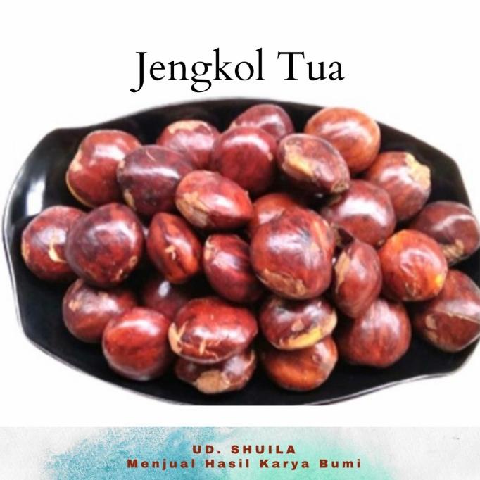 

jengkol tua 1 kg