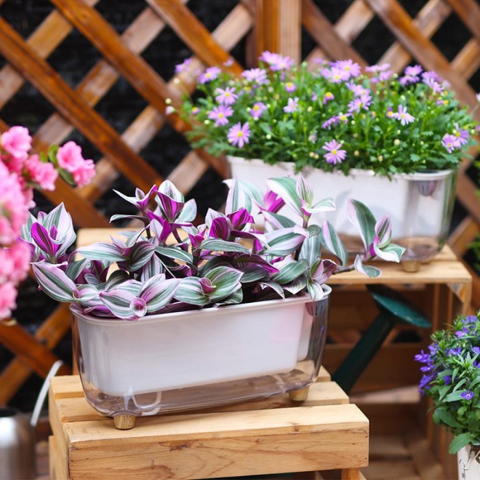 Terlaris Pot Tanaman Otomatis - Self Watering Pot - Pot Hidroponik - Olz - 211