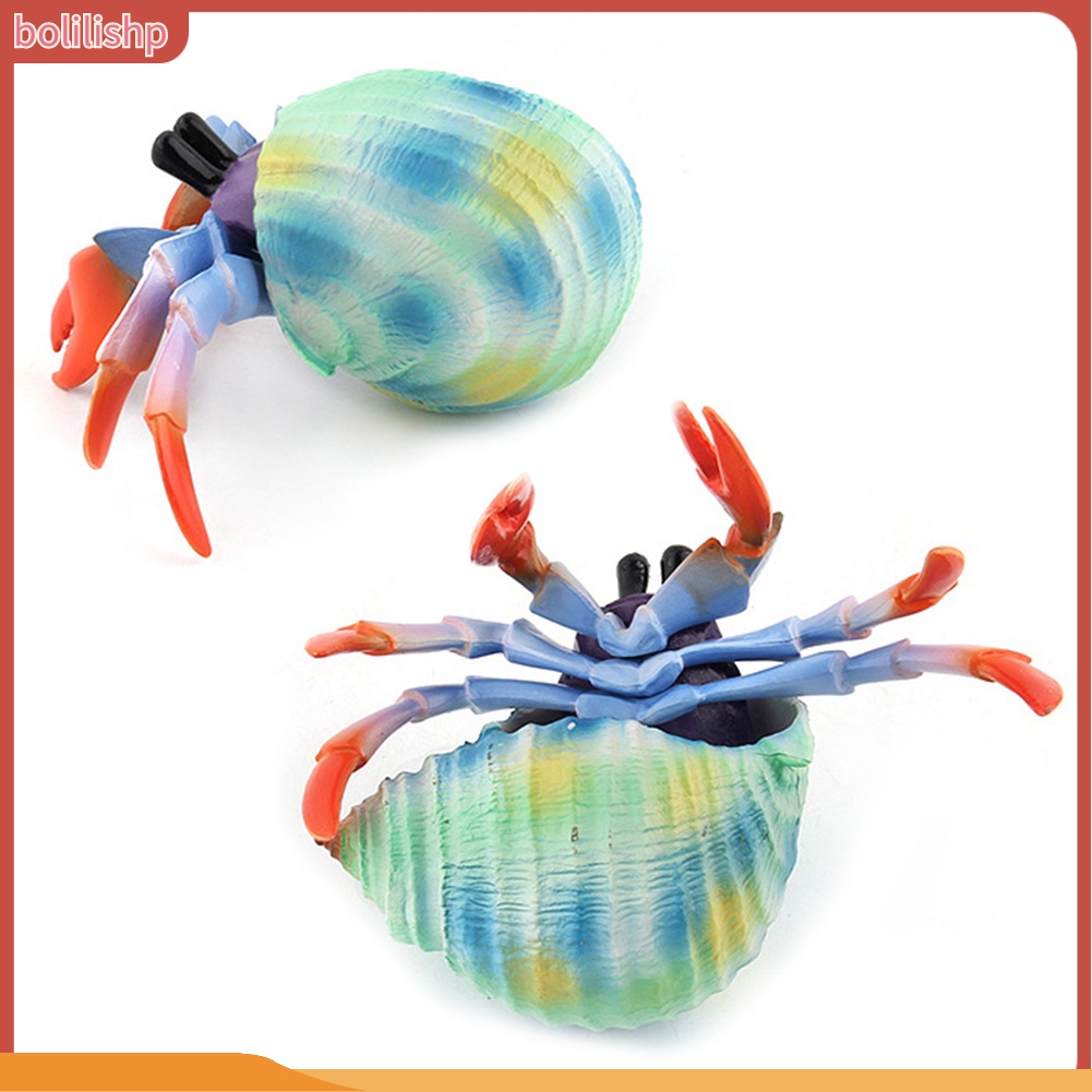 &lt;Bolilishp&gt; Simulation Hermit Crab Marine Animal PVC Model Desktop Decor Education Kids Toy