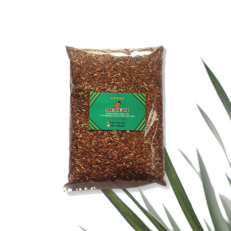 

Beras Merah Berkualitas - 1kg