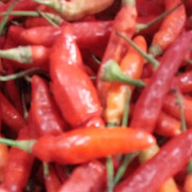 

PENJUALAN TERBANYAK A86 CABAI RAWIT MERAH 1KG FRESH ㊪