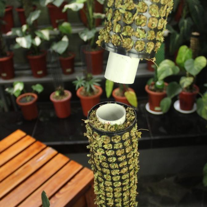Turus Lumut 2 Meter / Moss pole 200 cm / Penyangga Tanaman Merambat - Model Jaring