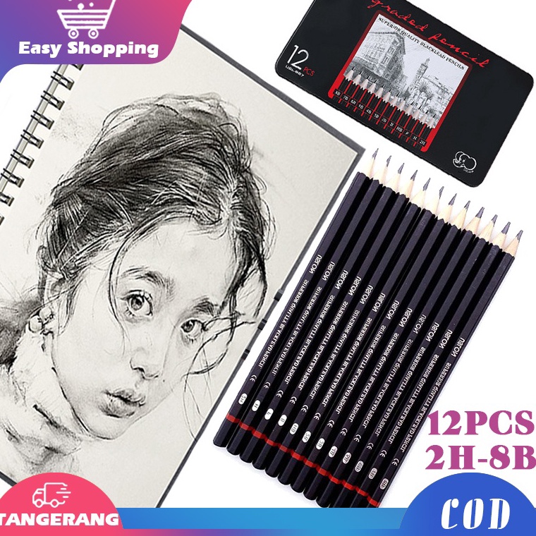 

Promo 12pcs Pensil Gambar Sketsa Set Sketching Pencil Set Sketch Drawing Pencil Set Paiting Pencil Kit 2H-8B